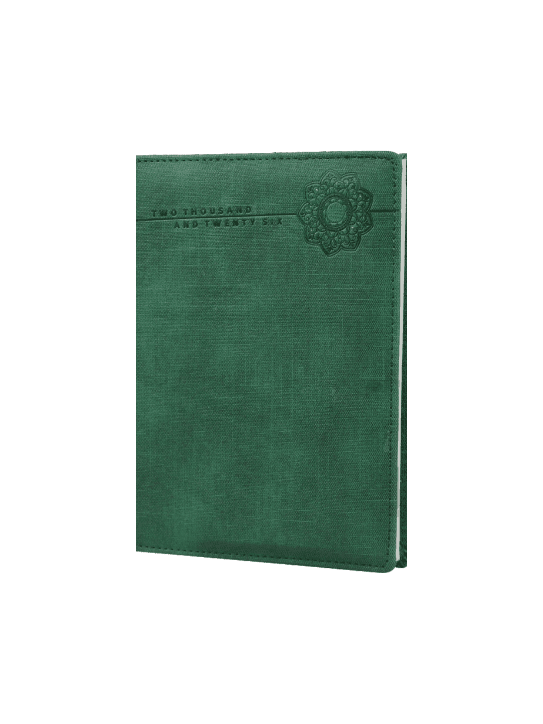 DIARY - image 1