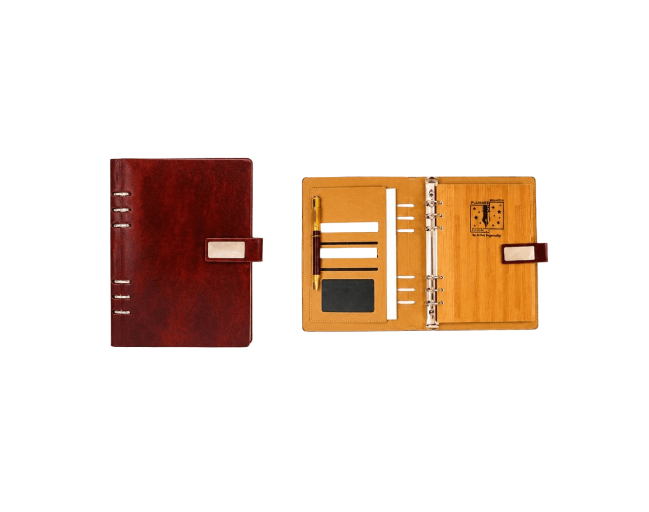 Diary - image 1
